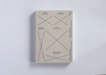 Roland Boden: Roland Boden. Strategien d