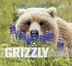 ISBN 9783944327600: Grizzly - Herrscher der Wildnis