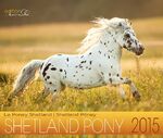 ISBN 9783944588278: Shetland Pony 2015 – Shetland Pony Pferdekalender