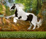 Mächtige Rösser 2017 – Kaltblüter Pferde