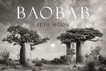 ISBN 9783945543498: BAOBAB: Meine Reise zu den ältesten Lebewesen und Waldwächtern – Ein Tagebuch des Verschwindens | Ein spektakuläres Fotobuch