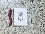 ISBN 9783947858118: Vegetable Teratology Colouring Book