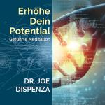 ISBN 9783956280054: Erhöhe dein Potential