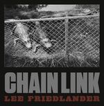 ISBN 9783958292598: Chain Link