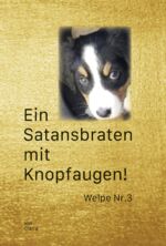 ISBN 9783962005528: Ein Satansbraten mit Knopfaugen!