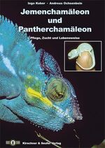 Jemenchamäleon und Pantherchamäleon