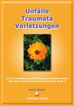 ISBN 9783981479522: Unfälle - Traumata - Verletzungen - in ihrer Entstehung und Bedeutung verstehen lernen und damit Genesung sowie Entwicklung fördern