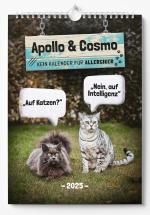 ISBN 9783989352650: Apollo & Cosmo - Kein Kalender für Allergiker - Katzen-Kalender 2025 - Wandkalender A3 mit Spiralbindung - Süße Katzen Bilder und lustige Sprüche für das ganze Jahr