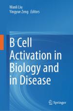 Yingyue Zeng: B Cell Activation in Biolo Yingyue Zeng: B Cell Activation in Biolo
