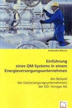 Einführung eines QM-Systems in einem Energieversorgungsunternehmen