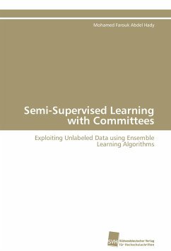 neues Buch – Abdel Hady – Semi-Supervised Learning with Committees