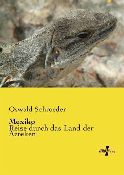 neues Buch – Oswald Schroeder – Mexiko