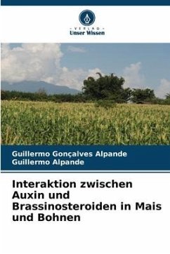 neues Buch – Gonçalves Alpande, Guillermo;Alpande, Guillermo – Interaktion zwischen Auxin und Brassinosteroiden in Mais und Bohnen