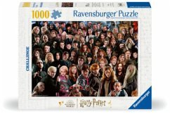 neues Spiel – Harry Potter 12000457 - Challenge Harry Potter