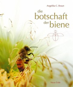 gebrauchtes Buch – Braun, Angelika C – Die Botschaft der Biene (Mängelexemplar) gebrauchtes Buch – Braun, Angelika C – Die Botschaft der Biene (Mängelexemplar)