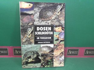 gebrauchtes Buch – Jordan Patterson – Dosenschildkröten im Terrarium.