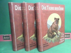 Die Tiere der Erde (in 3 Bänden), eine volkstümliche Uebersicht über die Naturgeschichte der Tiere. (= Die Erde in Einzeldarstllungen, 2.Abteilung).