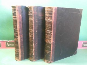 Die Heiligen Schriften des alten und neuen Testamentes nach der Vulgata mit steter Vergleichung des Grundtextes übersetzt und erläutert. - in vier Bänden […]