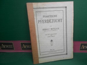 Praktische Pferdezucht.