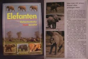 gebrauchtes Buch – Monica Badelt – Elefanten - Elefantenbaby Bulli erzählt gebrauchtes Buch – Monica Badelt – Elefanten - Elefantenbaby Bulli erzählt
