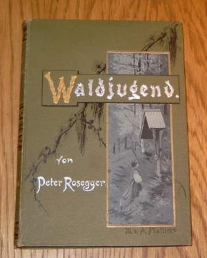 Waldjugend. Geschichten für junge Leute von 15 bis 70 Jahren.