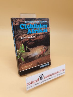 gebrauchtes Buch – Mayland, Hans J – Bewährte und begehrte Cichliden Afrikas ; interessante Importe aus West- und Ostafrika sowie aus den Seen des afrikanischen Grabensystems