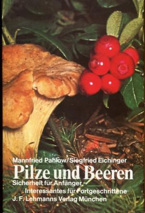 Pilze und Beeren. Sicherheit für Anfänger.