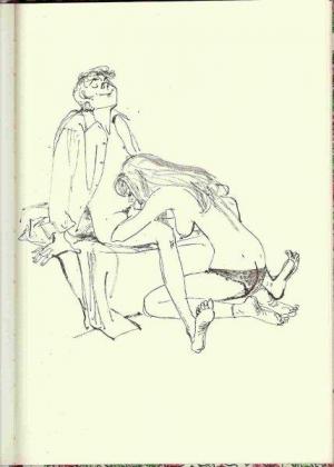 Die Sexschaukel.