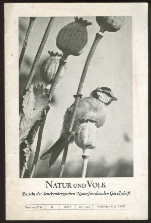 antiquarisches Buch – Mertens, Robert & Schmidt – Natur und Volk - Bericht der Senckenbergischen Naturforschenden Gesellschaft Bd. 81, Heft 9 1951