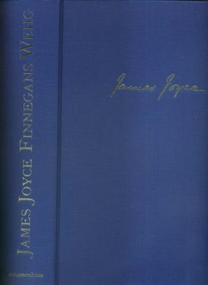 Finnegans Wehg. Kainnäh ÜbelSätzZung des Wehrkeß fun Schämes Scheuß von Dieter H. Stündel.