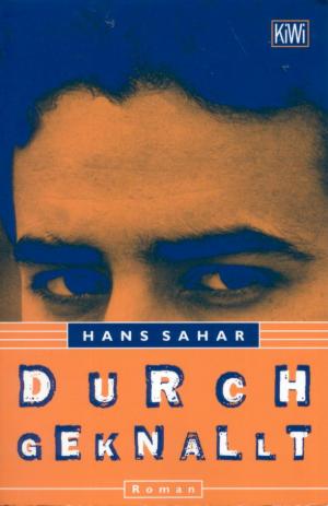 gebrauchtes Buch – Hans Sahar – Durchgeknallt