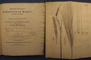 gebrauchte Buecher