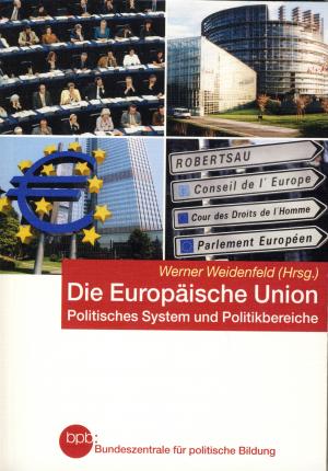 Die Europäische Union. Politisches System und Politikbereiche.