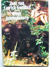 Verhaltensforschung am Gombe-Strom Wilde Schimpansen 