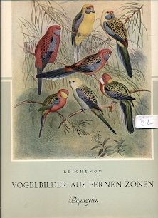 Vogelbilder aus Fernen Zonen - Papageien