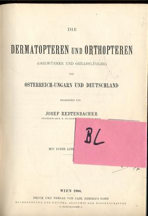 Dermatopteren und Orthopteren