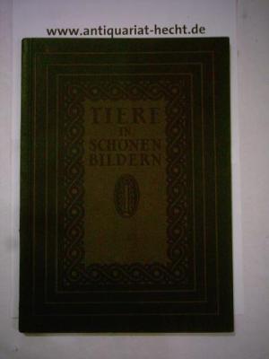 antiquarisches Buch – Tiere in schönen Bildern. Aufnahmen nach dem Leben zumeist von deutschen Amateuren. (= Die Blauen Bücher).