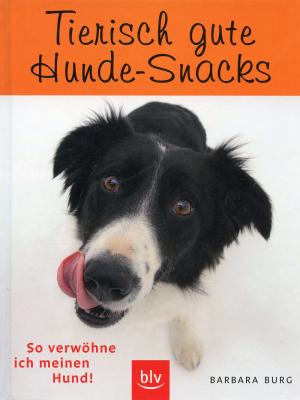 neues Buch – Barbara Burg – Tierisch gute Hundesnacks