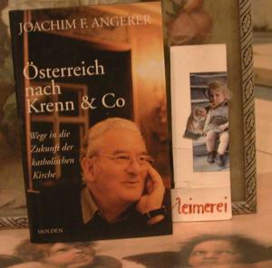 gebrauchtes Buch – Angerer Joachim F – Österreich nach Krenn & Co Wege in die Zukunft der kath. Kirche