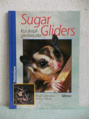 Sugar Gliders - Kurzkopfgleitbeutler