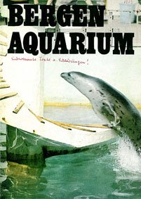 gebrauchtes Buch – Bergen Aquarium – Führer (Seehund) gebrauchtes Buch – Bergen Aquarium – Führer (Seehund)