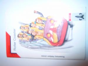 gebrauchtes Buch – Rosemary Hellyer-Jones – Roller-coaster