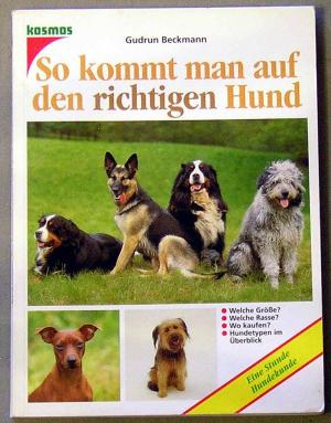 So kommt man auf den richtigen Hund