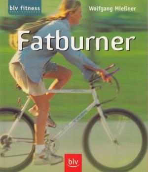 gebrauchtes Buch – Wolfgang Miessner – Fatburner