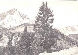 AK SW Alpspitze und Zugspitze um 1960