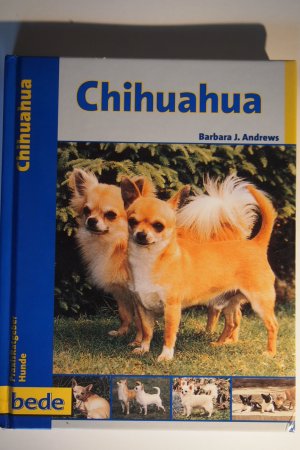 gebrauchtes Buch – Barbara J. Andrews  – Chihuahua, Praxisratgeber .