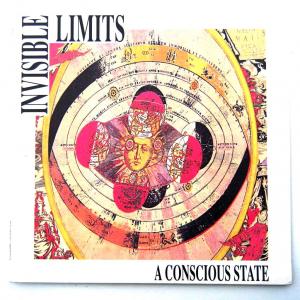 A Conscious State