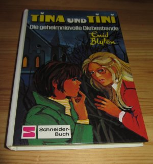 Tina und Tini / Die geheimnisvolle Diebesbande _ Bd. 13 _ 1984