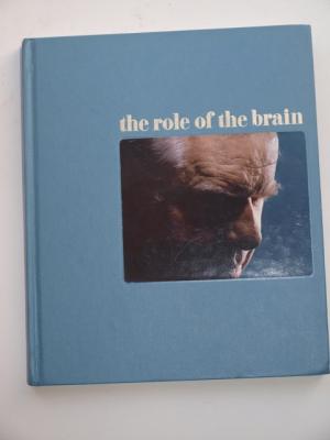 The role of the brain (Gehirn)