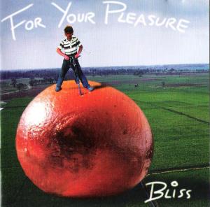 gebrauchter Tonträger – Bliss – For your pleasure